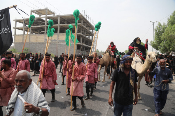«شیر و کُتل» رسم ۴۰۰ ساله مینابی‌ها در روز عاشورا