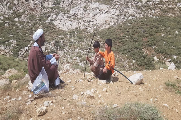 «فصل استقبال» در مناطق عشایری کیار