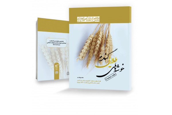 خوشه های طلایی گندم