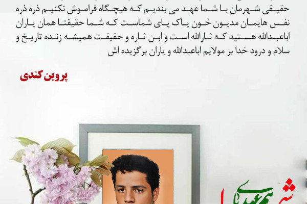 دلنوشته هایی برای شهدا