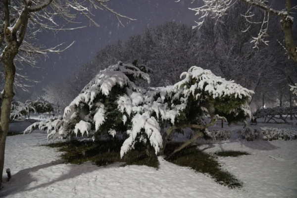 بارش پربرکت باران و برف، ارمغان توکل مؤمنان
