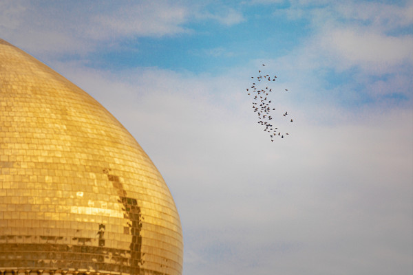 کاظمین در سوگ شهادت امام کاظم(ع)