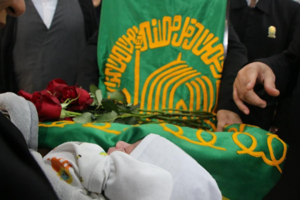 بندرخمیر با عطر رضوی جان گرفت